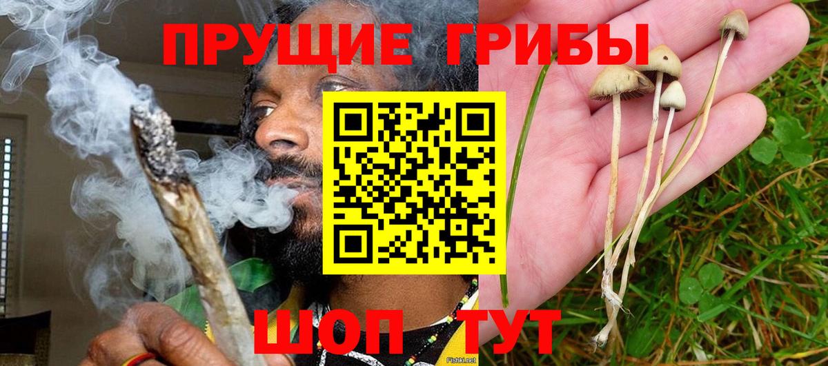 Камень-на-Оби  Галлюциногенные грибы прущие грибы  Галлюциногенные грибы MAGIC MUSHROOMS  Вход с VPN 