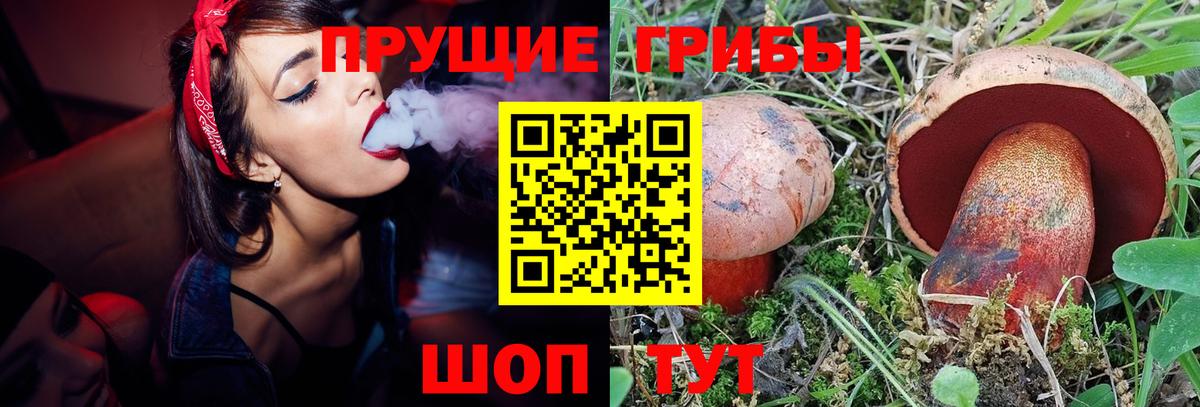 Галлюциногенные грибы мухоморы Камень-на-Оби